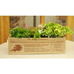 【JUTE】リトルガーデン Tray Lサイズ <English> JLT-004